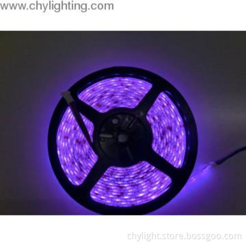 Wholesale DC12V 16.4FT 5050 LED Ribbon LED Lighting
